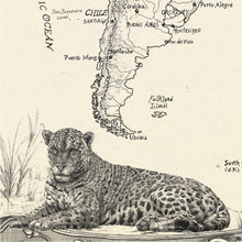 Load image into Gallery viewer, Jaguar of South America resting in hand drawn representation at base of wildlife world map.
