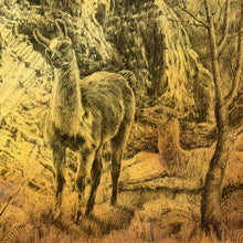 Load image into Gallery viewer, Machu Picchu llama that roans around the sanctuary of world wonder