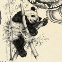 Load image into Gallery viewer, Fine detailed hand drawn Panda world map inset