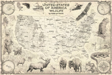 Load image into Gallery viewer, United States wildlife map edition featuring bear , elk, coyote, eagle, alligator and pine snakes close to their natural habitat along with detailed map of the United States in clouding insets of Alaska and Hawaii Cream color