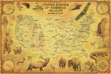 Load image into Gallery viewer, United States wildlife map edition featuring bear , elk, coyote, eagle, alligator and pine snakes close to their natural habitat along with detailed map of the United States in clouding insets of Alaska and Hawaii