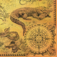 Load image into Gallery viewer, Alligator of the everglades and hand drawn compass of the USA bu United states of maps