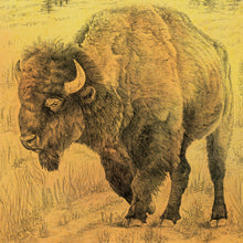 Load image into Gallery viewer, Buffalo hand drawn for USA map by United states of Maps