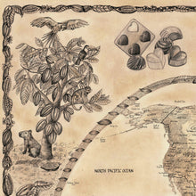 Load image into Gallery viewer, Cacao tree hand-drawn from our world of chocolate map  brown