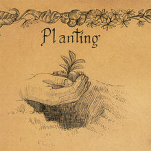 Load image into Gallery viewer, Coffee planting hand drawn image by king of maps