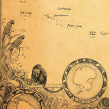 Load image into Gallery viewer, Howler monkey and Parrots hand drawn for our map of the world by king of maps