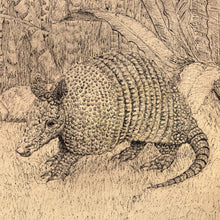 Load image into Gallery viewer, Armadillo highly detailed drawing of this regional animal that lives in Chichen Itza ruins , Kukulkan map by king of maps. Brown background
