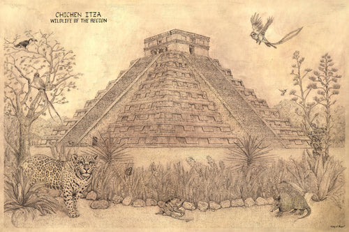Chichén Itzá pyramid of Kukulkan with wildlife of the region surrounding the main temple, quetzal , tucán and Jaguar or puma are finely hand-drawn in the setting. Light brown color background