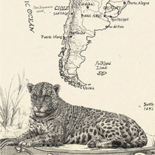 Load image into Gallery viewer, Jaguar of South America resting in hand drawn representation at base of wildlife world map. 
