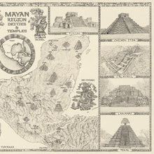 Load image into Gallery viewer, Mayan region map right side with temples of Chichen Itza calakmul , Tikal and ruins of the region surrounding a map of the Yucatan area.
