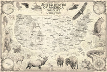 Load image into Gallery viewer, United States wildlife map edition featuring bear , elk, coyote, eagle, alligator and pine snakes close to their natural habitat along with detailed map of the United States in clouding insets of Alaska and Hawaii Cream color
