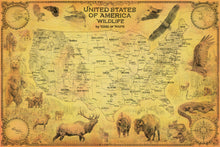 Load image into Gallery viewer, United States wildlife map edition featuring bear , elk, coyote, eagle, alligator and pine snakes close to their natural habitat along with detailed map of the United States in clouding insets of Alaska and Hawaii
