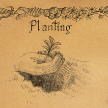 Load image into Gallery viewer, Coffee planting hand drawn image by king of maps
